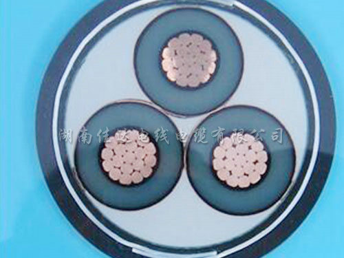 交聯鎧裝系列草莓在线免费观看